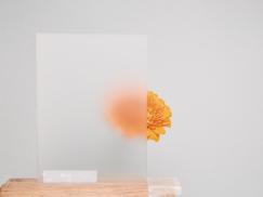 Broschüren und Kataloge,  Corporate Design,  Aktion 2022,  Haustüren,  PaXentrée Aluminium